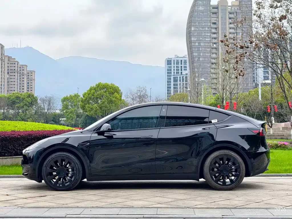 Tesla Model Y — фото 9