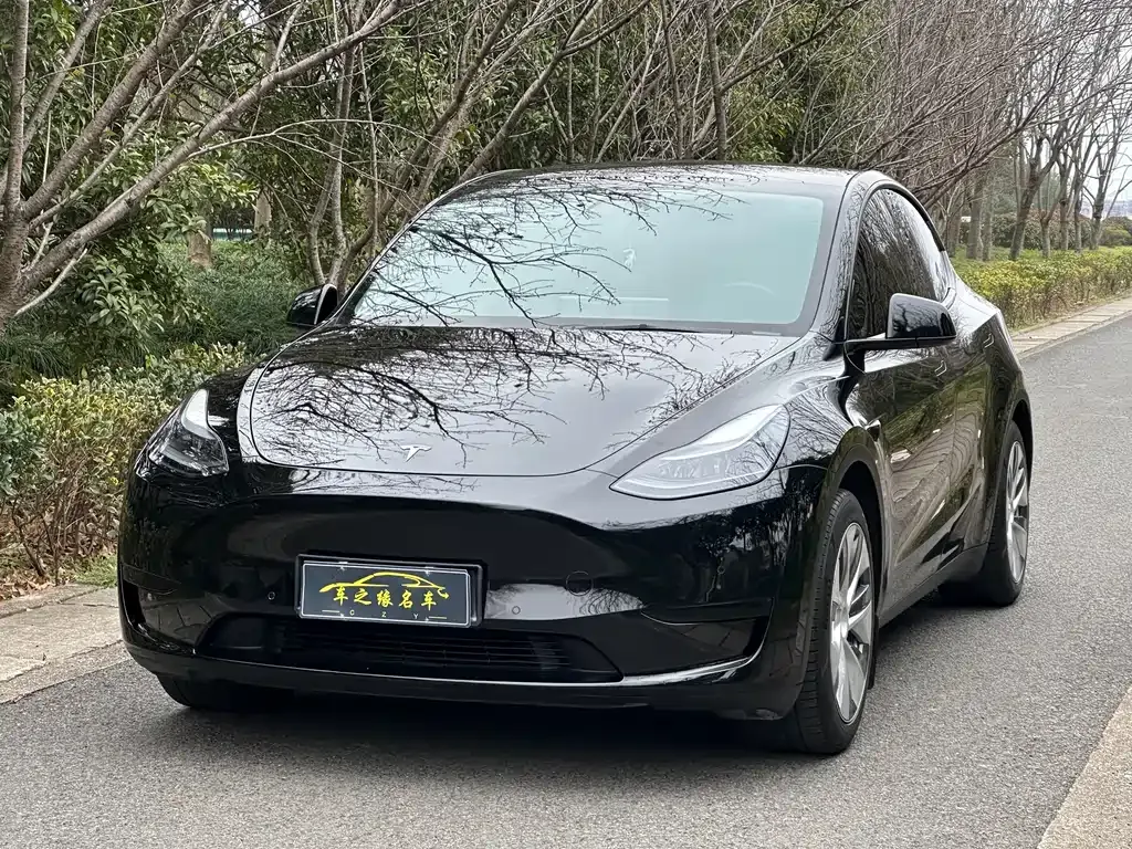 Tesla Model Y — фото 1