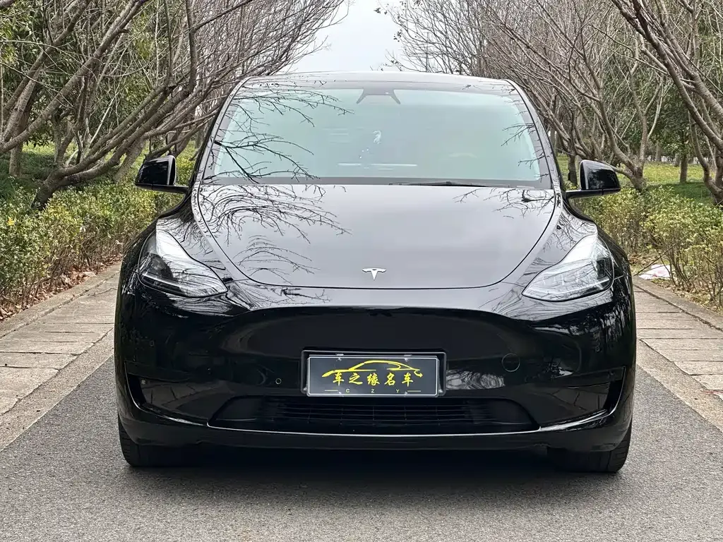 Tesla Model Y — фото 8