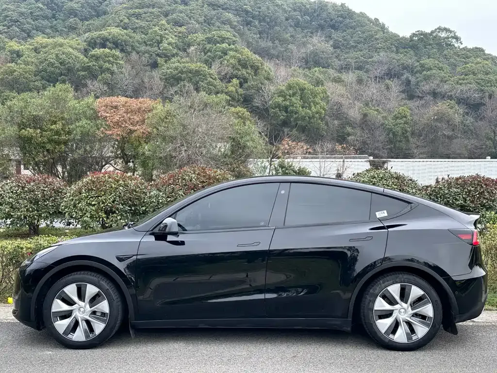Tesla Model Y — фото 10