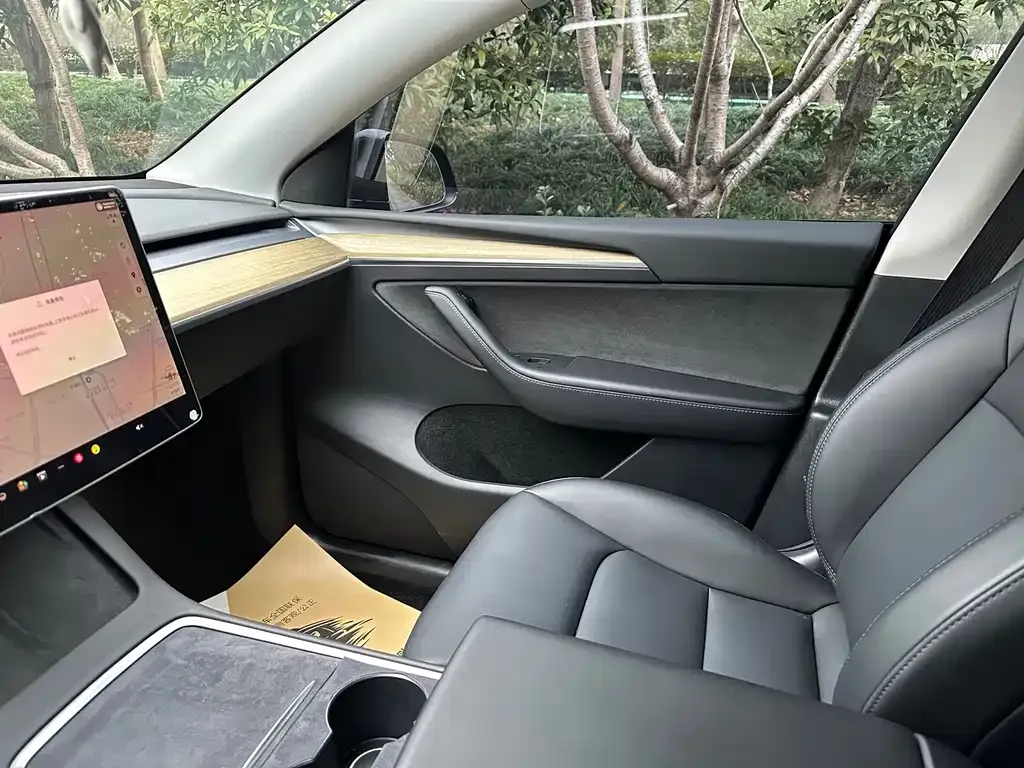 Tesla Model Y — фото 9