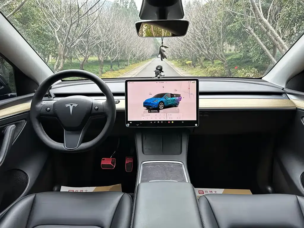 Tesla Model Y — фото 5
