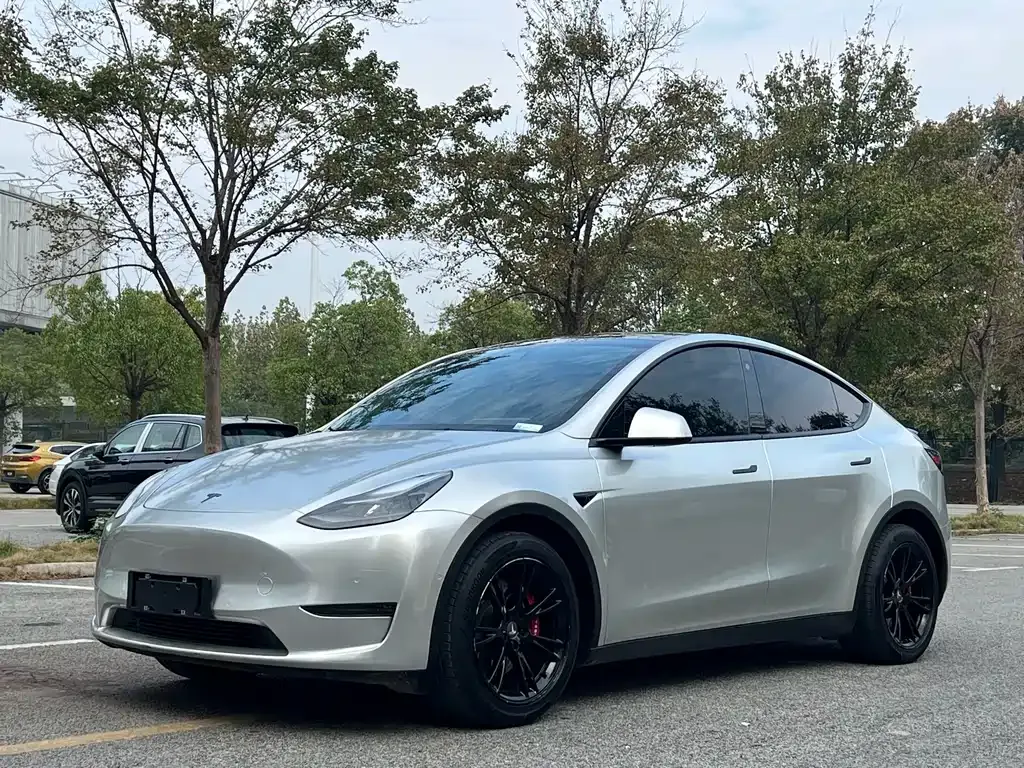 Tesla Model Y — фото 1