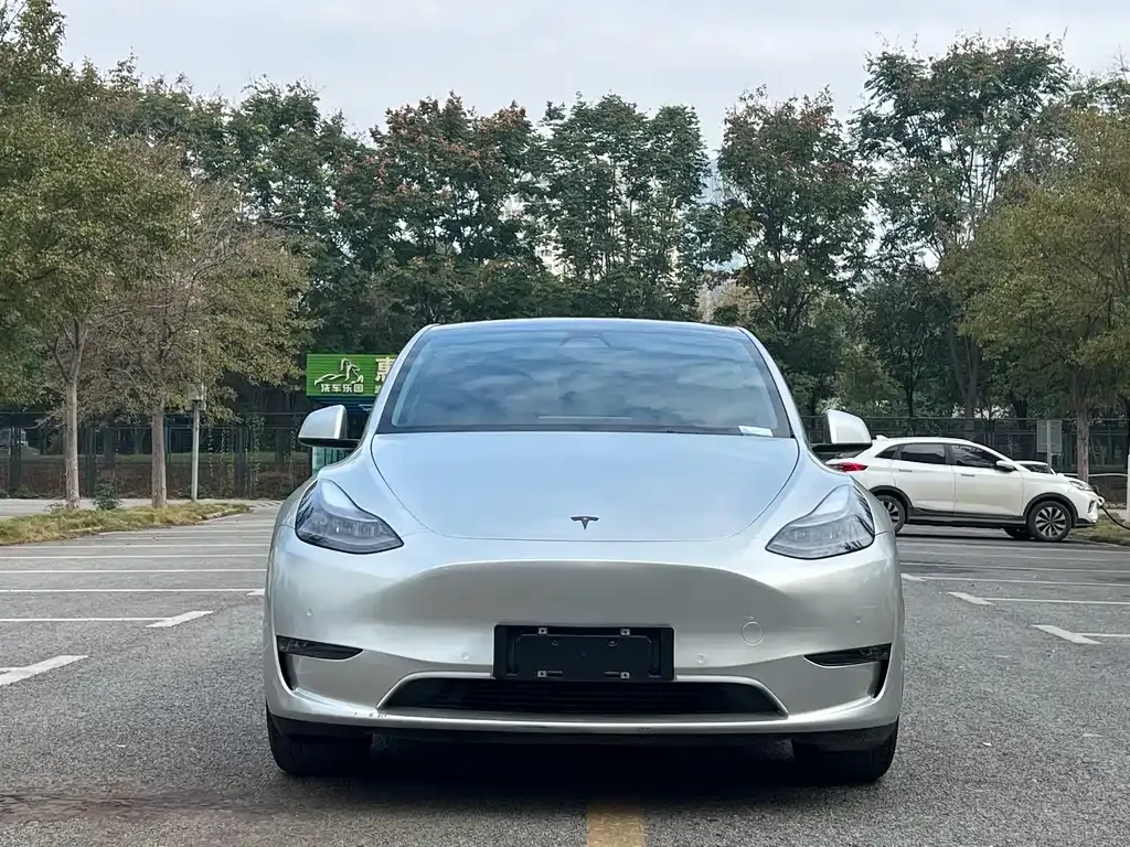 Tesla Model Y — фото 4