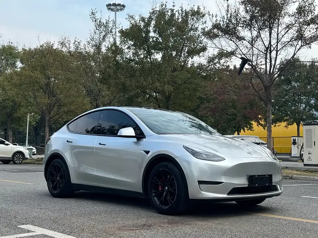 Tesla Model Y — фото 3