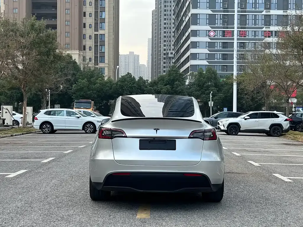 Tesla Model Y — фото 10