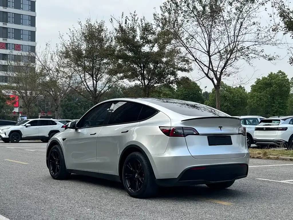 Tesla Model Y — фото 9