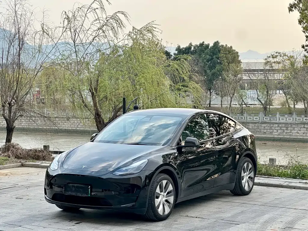 Tesla Model Y — фото 1