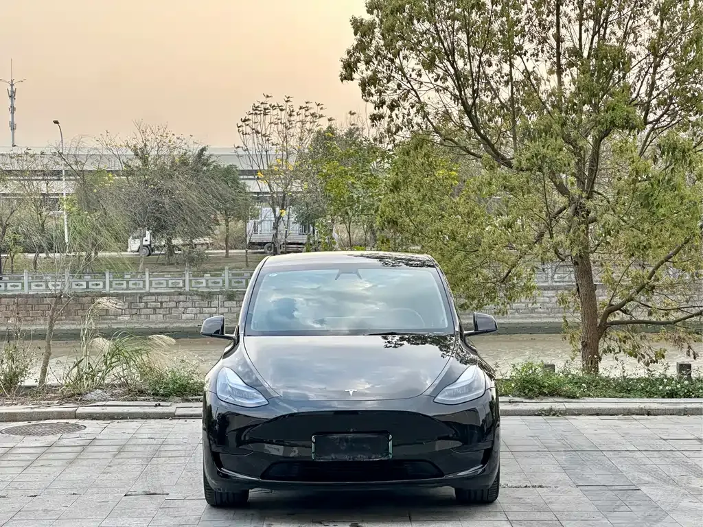 Tesla Model Y — фото 6