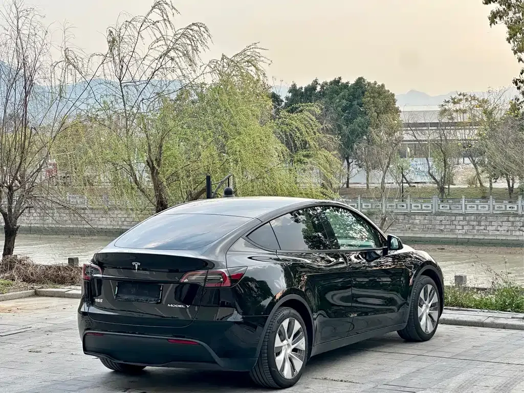 Tesla Model Y — фото 10