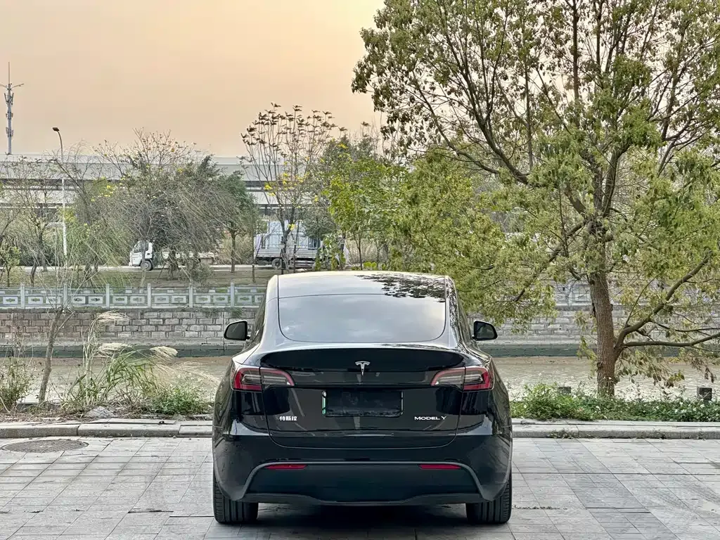 Tesla Model Y — фото 5