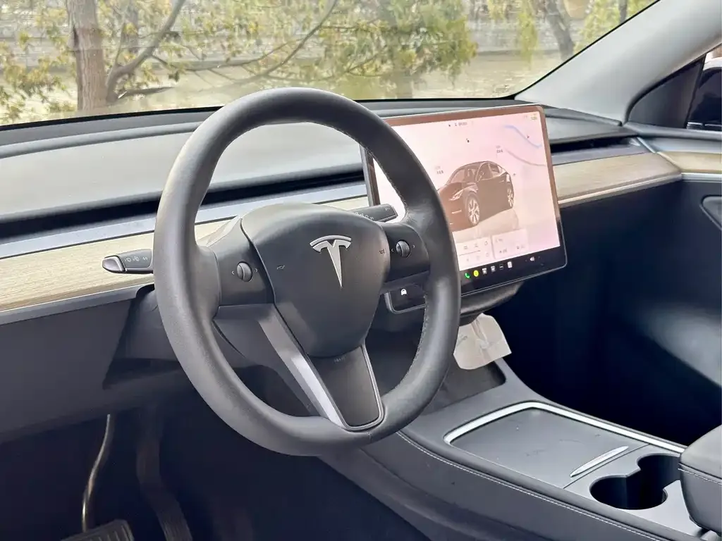 Tesla Model Y — фото 9