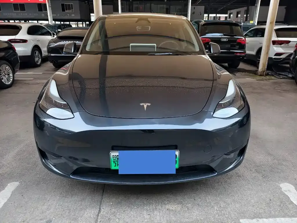 Tesla Model Y — фото 1