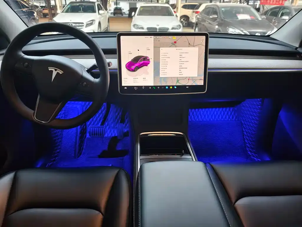 Tesla Model Y — фото 8