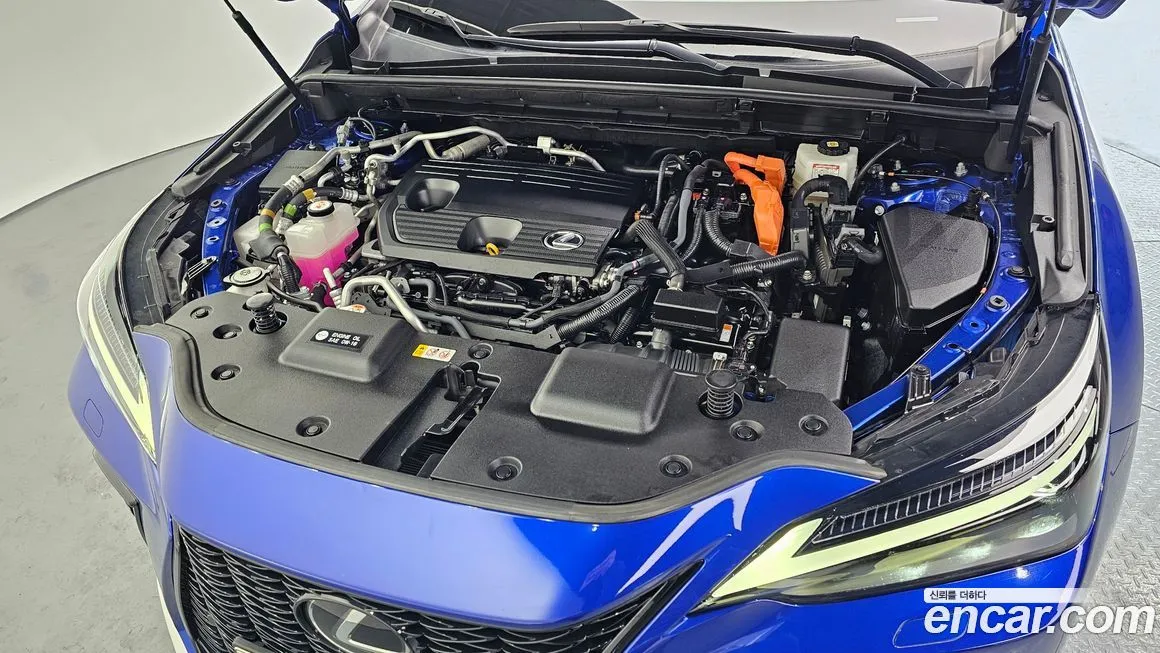 Lexus NX 2022 из KR, фото 8