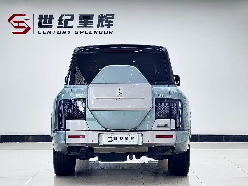 Yangwang U8 2024 из CN, фото 5