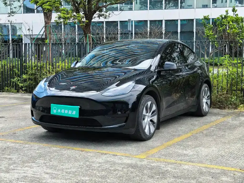 Tesla Model Y 2023 из CN, фото 1