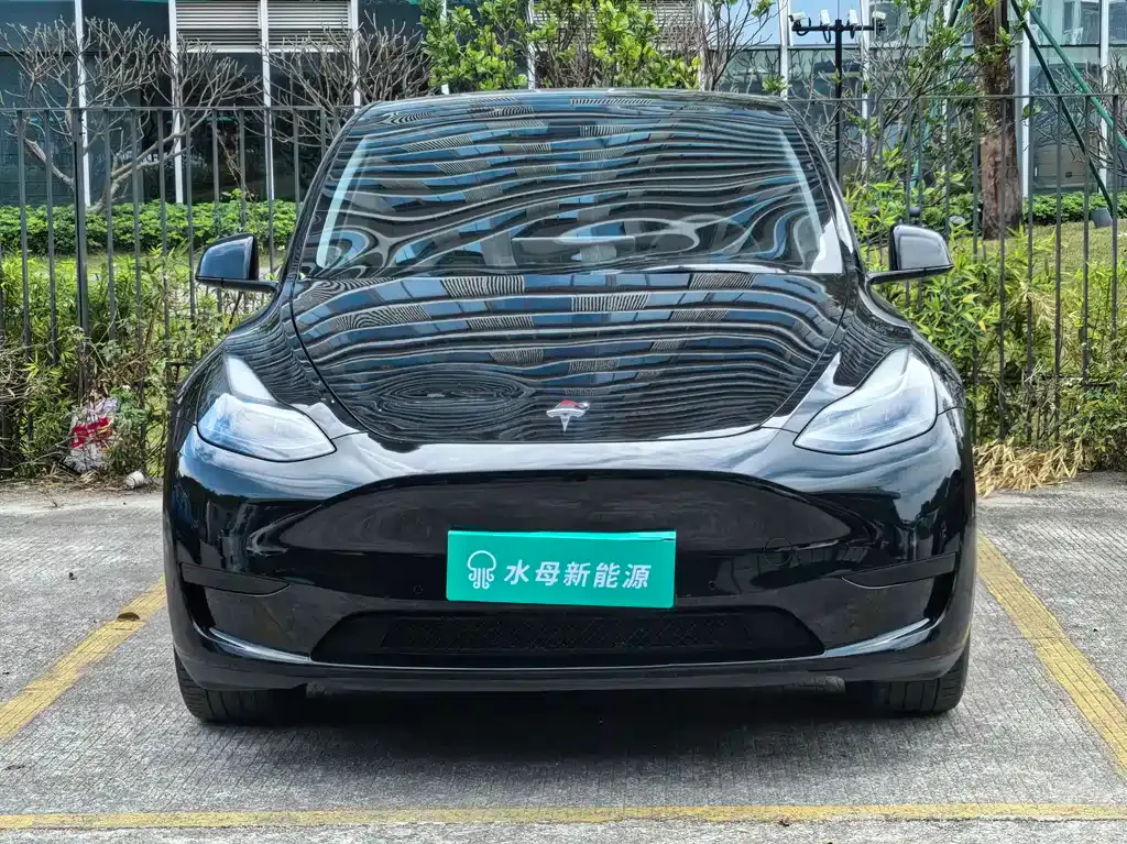 Tesla Model Y 2023 из CN, фото 5