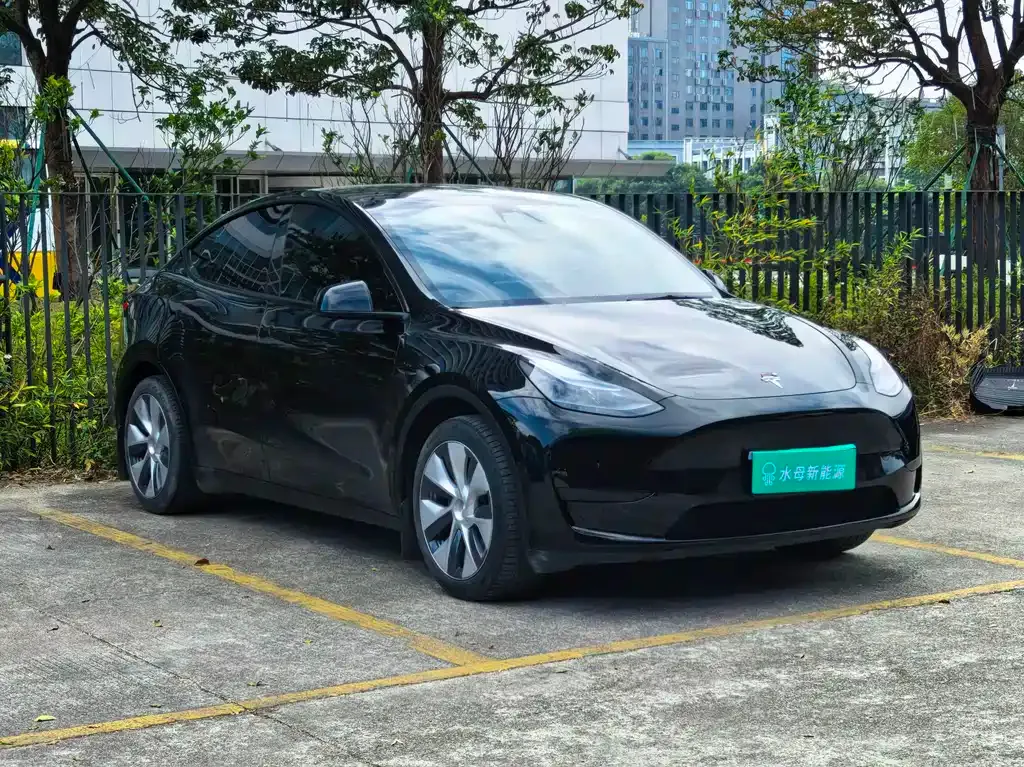 Tesla Model Y 2023 из CN, фото 2