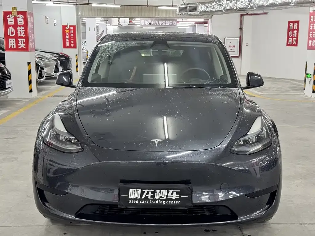 Tesla Model Y — фото 8