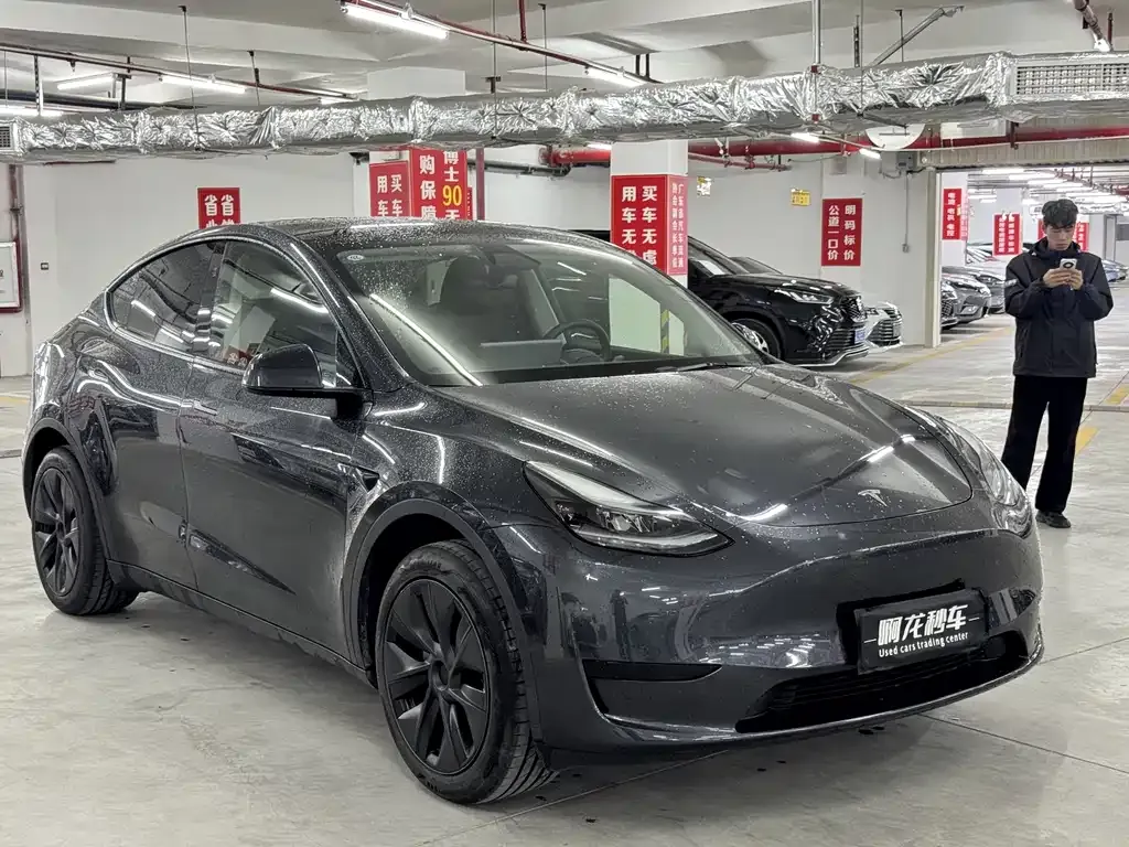 Tesla Model Y — фото 5