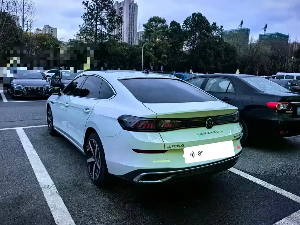 Volkswagen Lamando 2024 из CN, фото 4