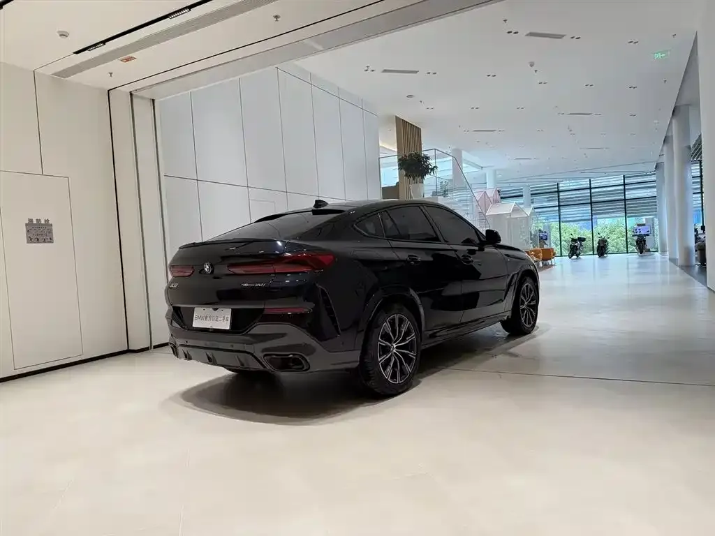 BMW X6 2023 из CN, фото 9