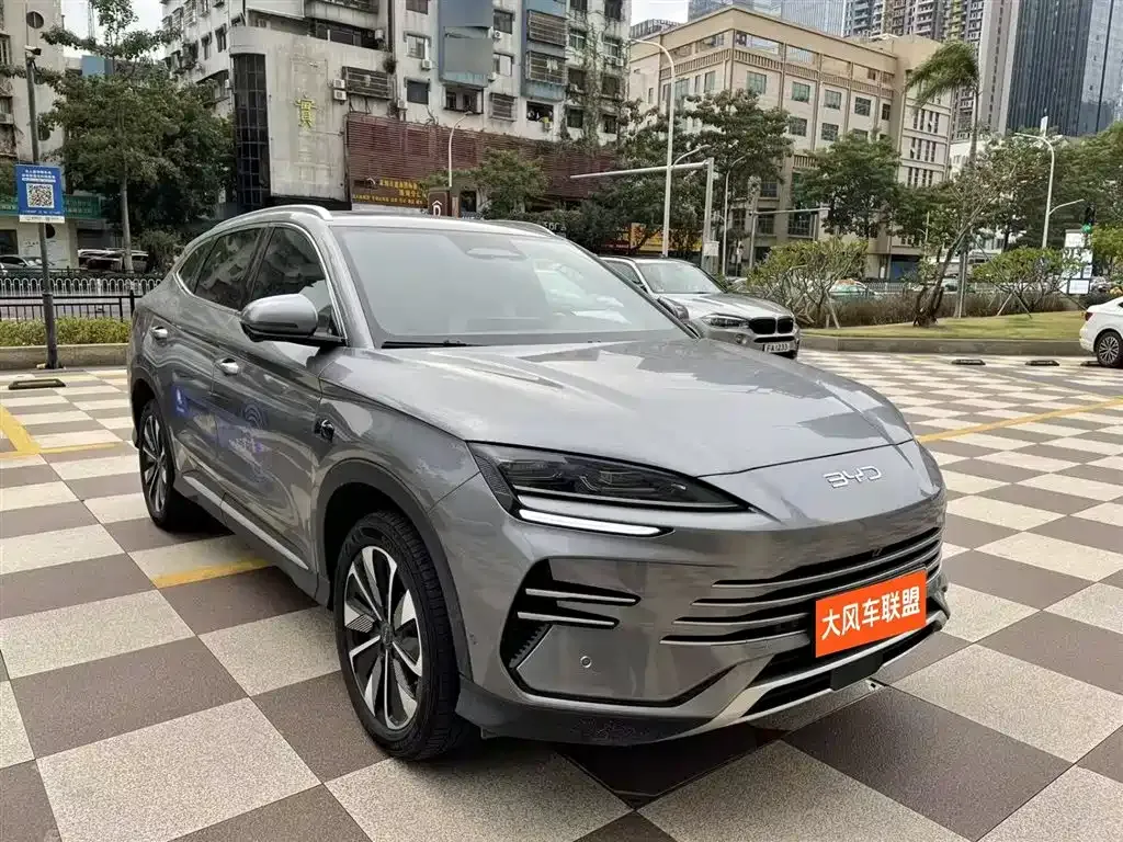 BYD PLUS New Energy — фото 4