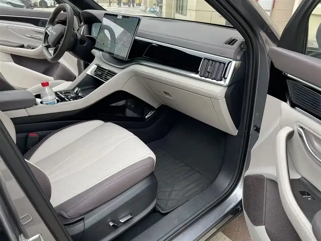 BYD PLUS New Energy — фото 8