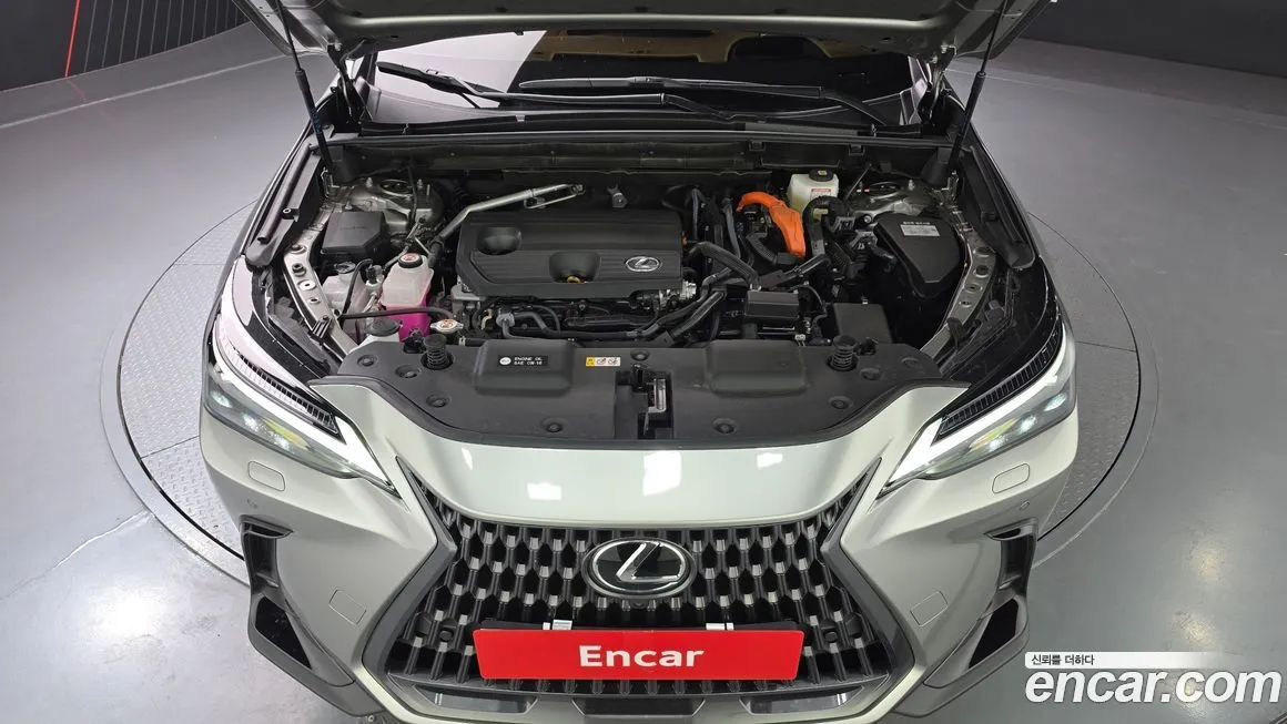 Lexus NX 2025 из KR, фото 10