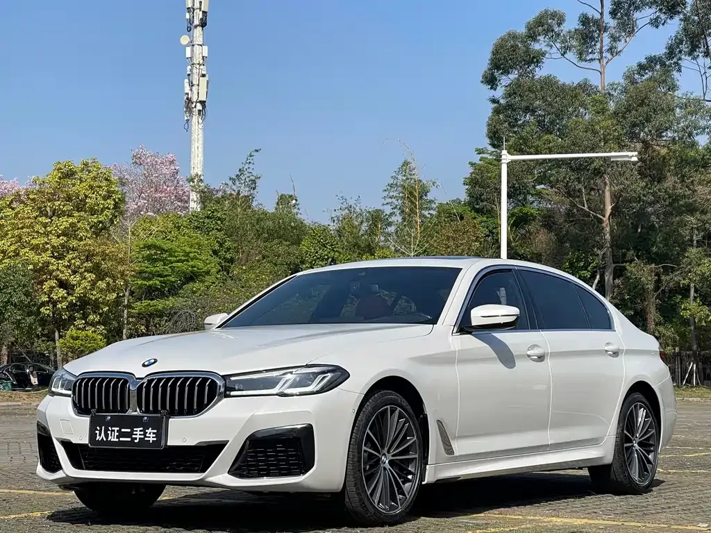 BMW 5 Series 2024 из CN, фото 1