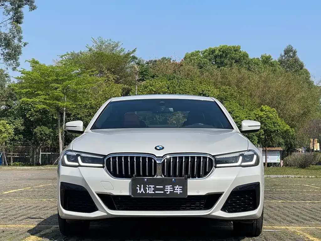 BMW 5 Series 2024 из CN, фото 5