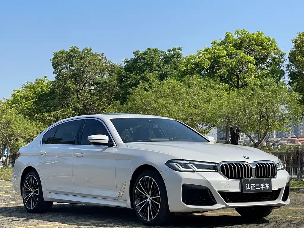 BMW 5 Series 2024 из CN, фото 9
