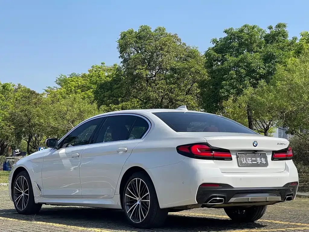 BMW 5 Series 2024 из CN, фото 10