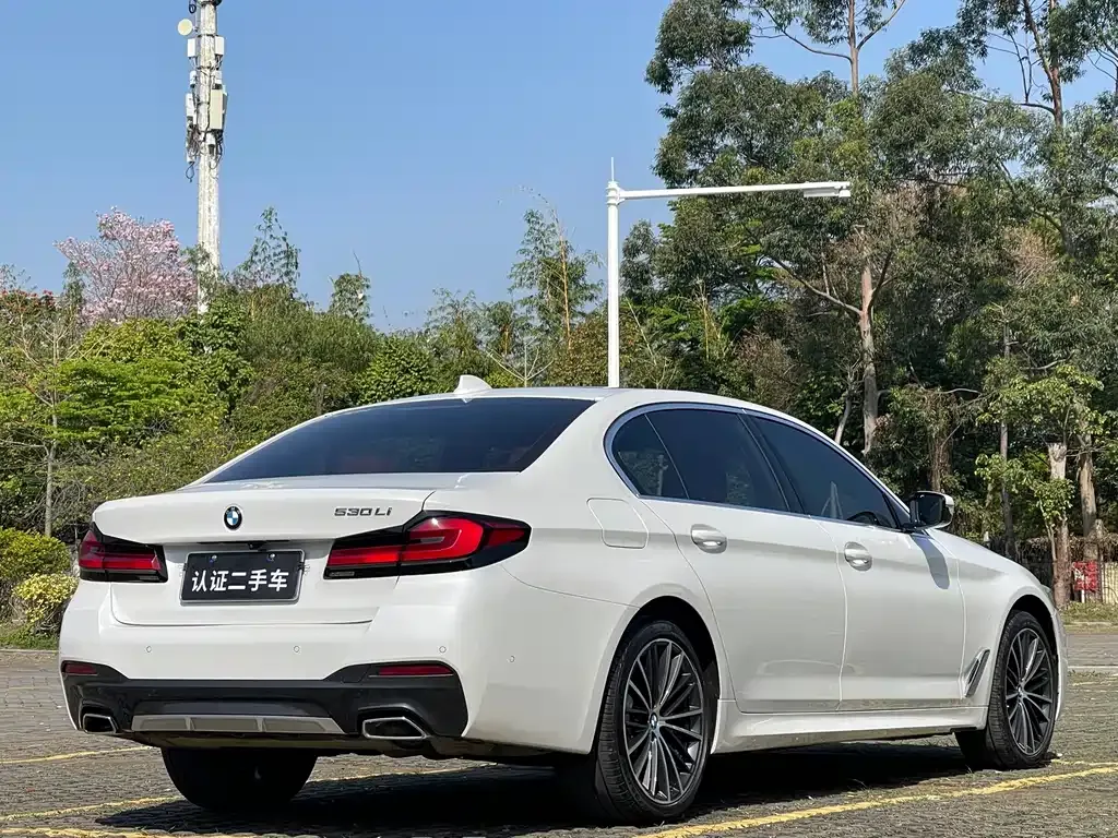 BMW 5 Series 2024 из CN, фото 6