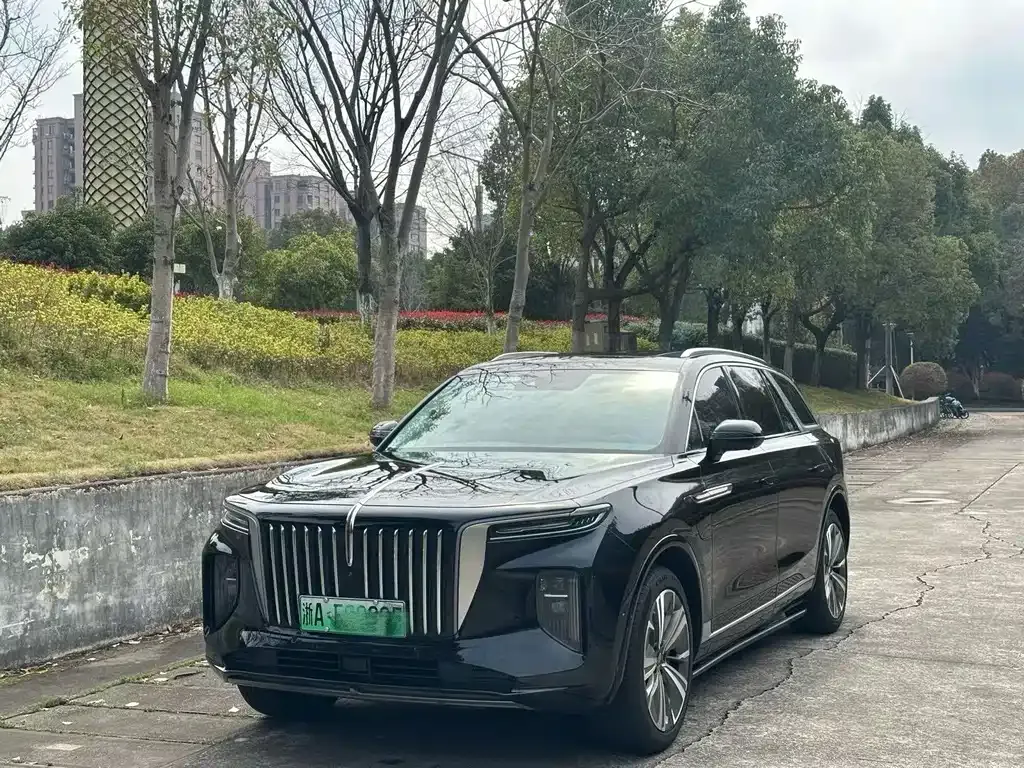 Hongqi E-HS9 — фото 1