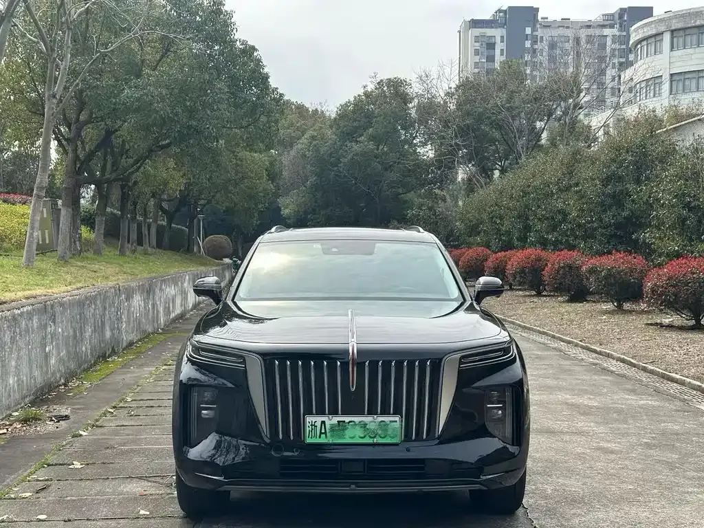 Hongqi E-HS9 — фото 4