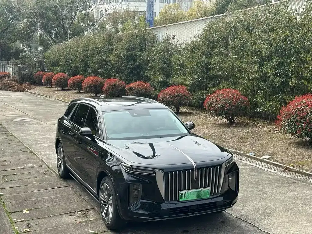 Hongqi E-HS9 — фото 9