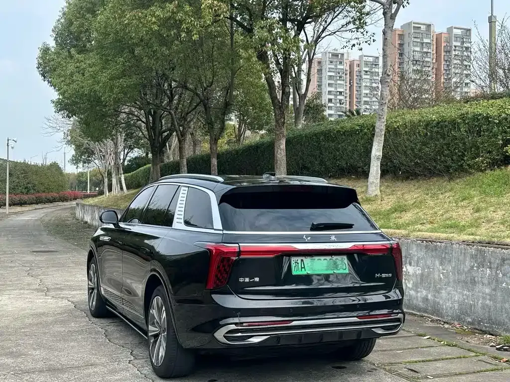 Hongqi E-HS9 — фото 3