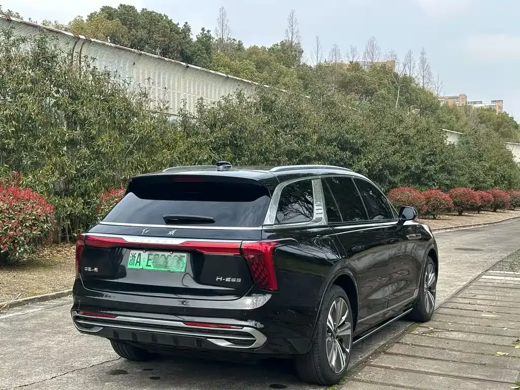 Hongqi E-HS9 — фото 8