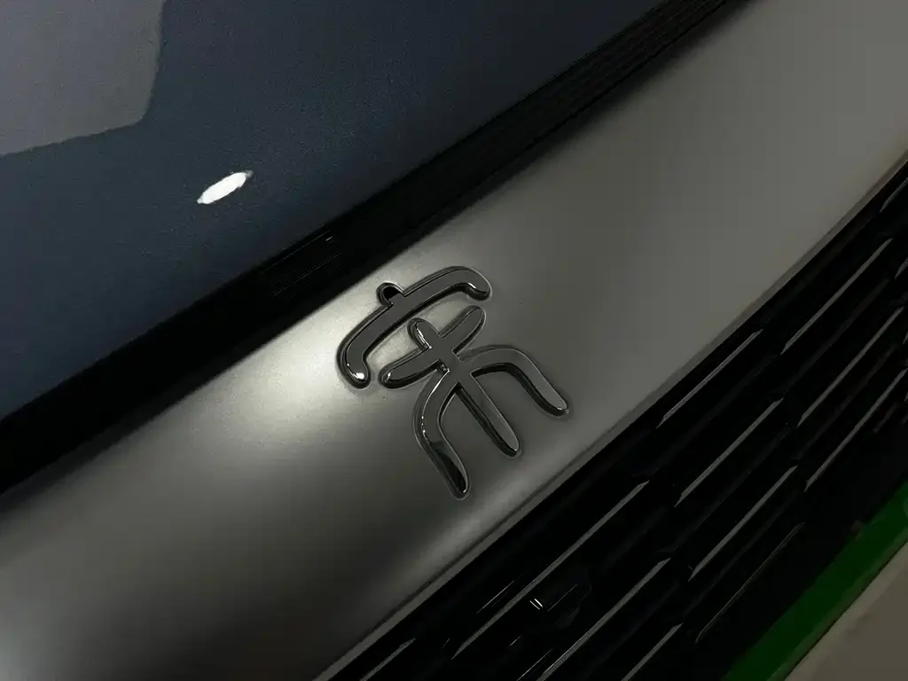 BYD Pro New Energy 2024 из CN, фото 7