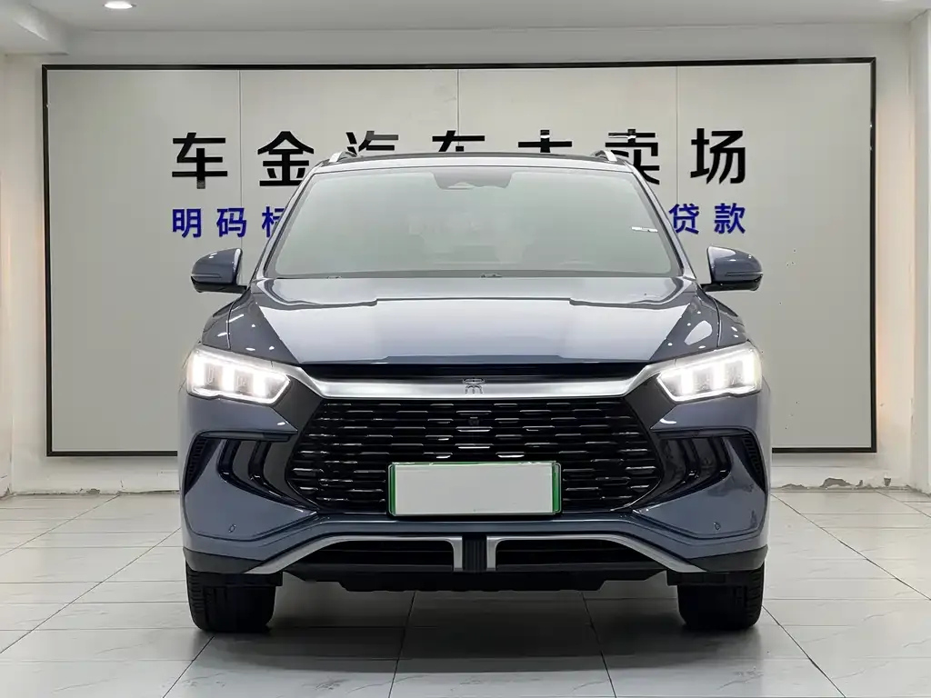 BYD Pro New Energy 2024 из CN, фото 3