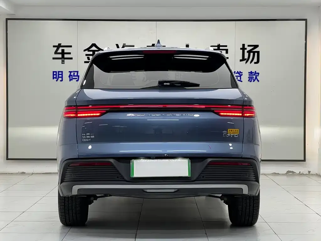 BYD Pro New Energy 2024 из CN, фото 5