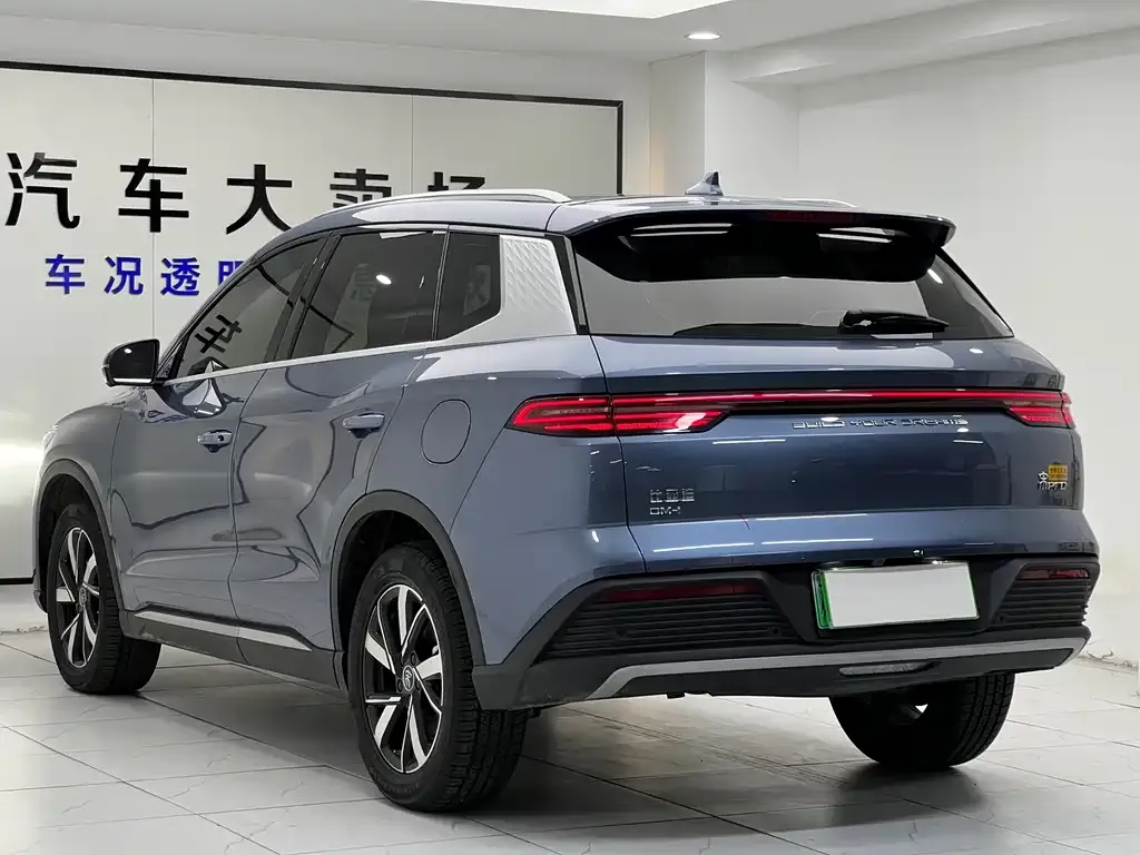 BYD Pro New Energy 2024 из CN, фото 6