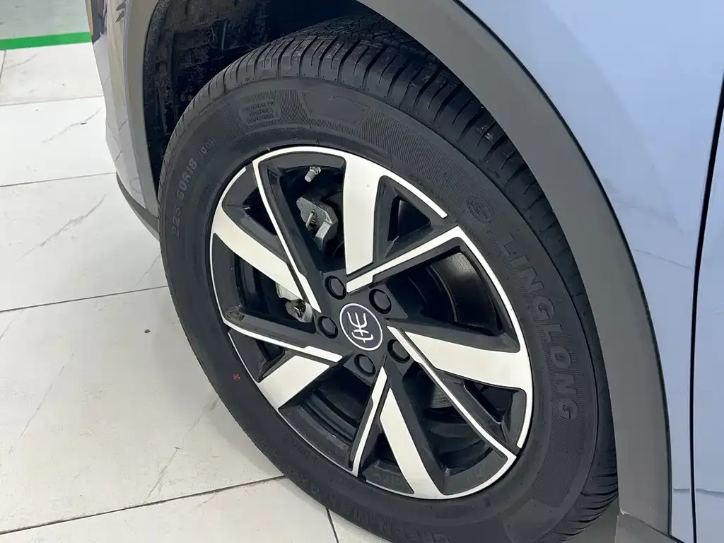 BYD Pro New Energy 2024 из CN, фото 10