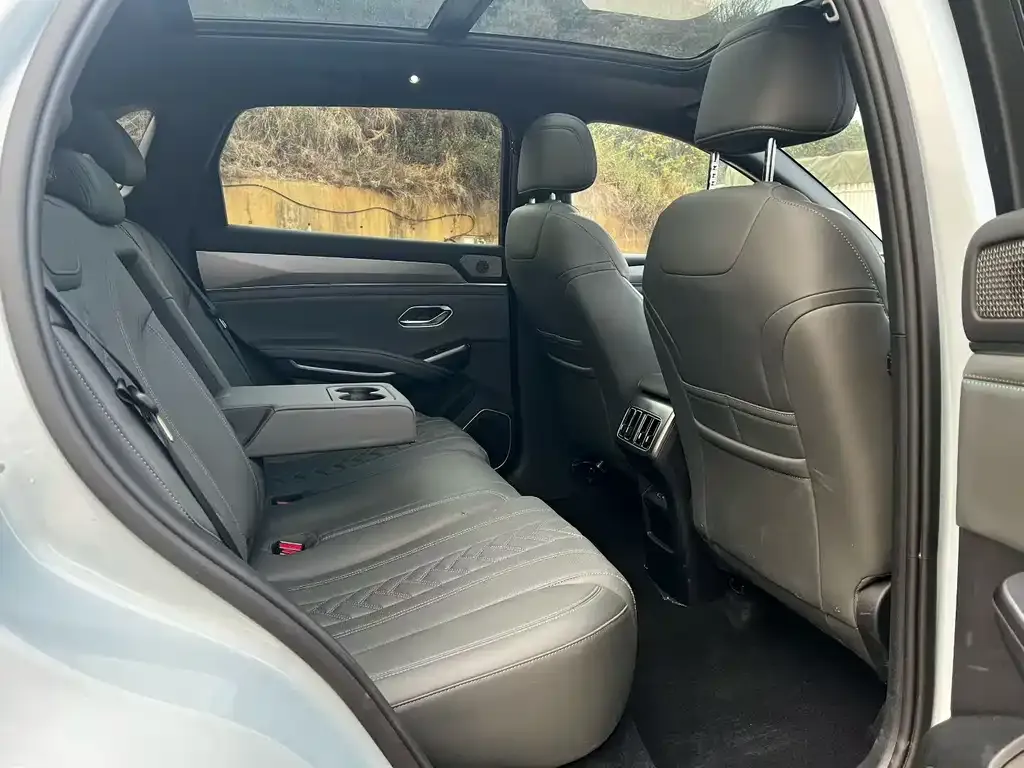 BYD L DM-i — фото 2