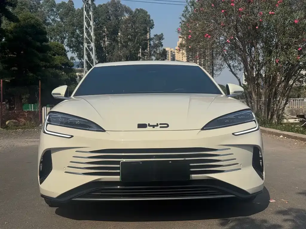 BYD Seal 2024 из CN, фото 9