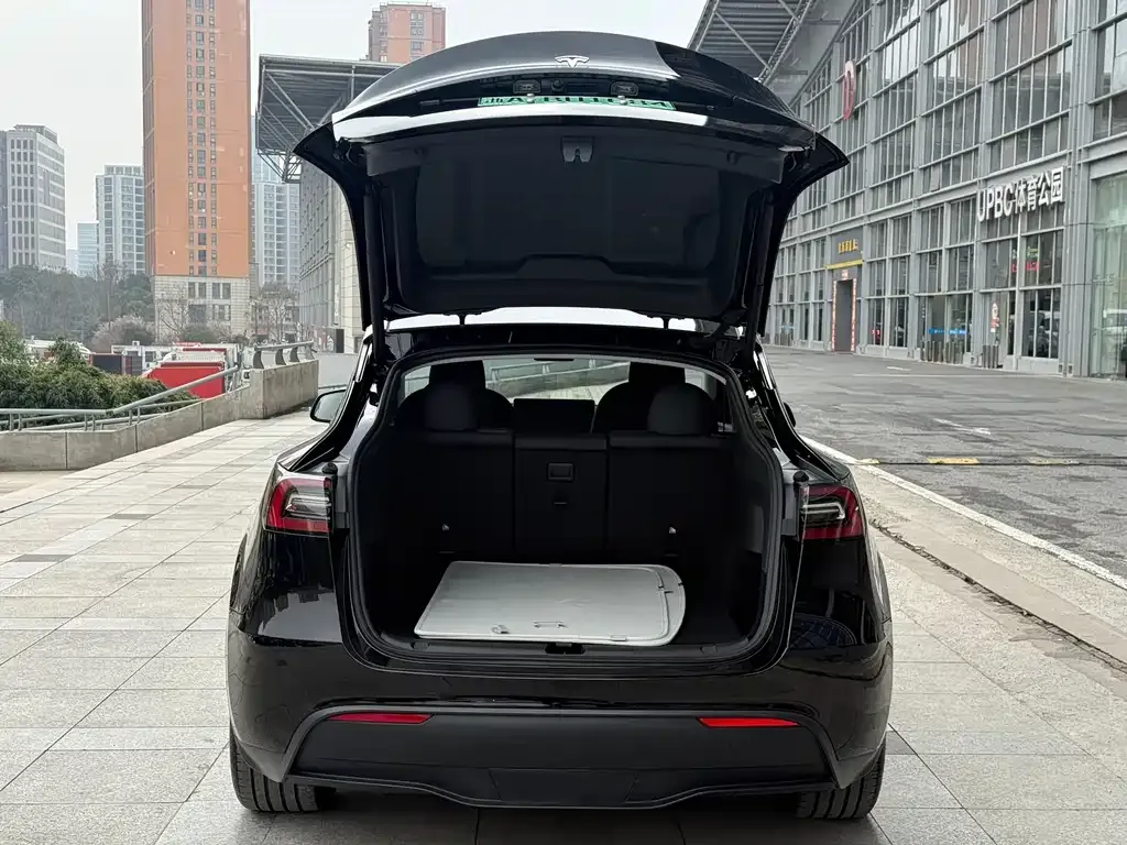 Tesla Model Y — фото 2