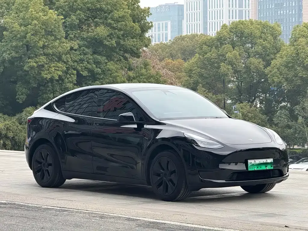 Tesla Model Y — фото 10