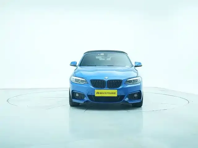 BMW 2 Series (Import) 2021 из CN, фото 10